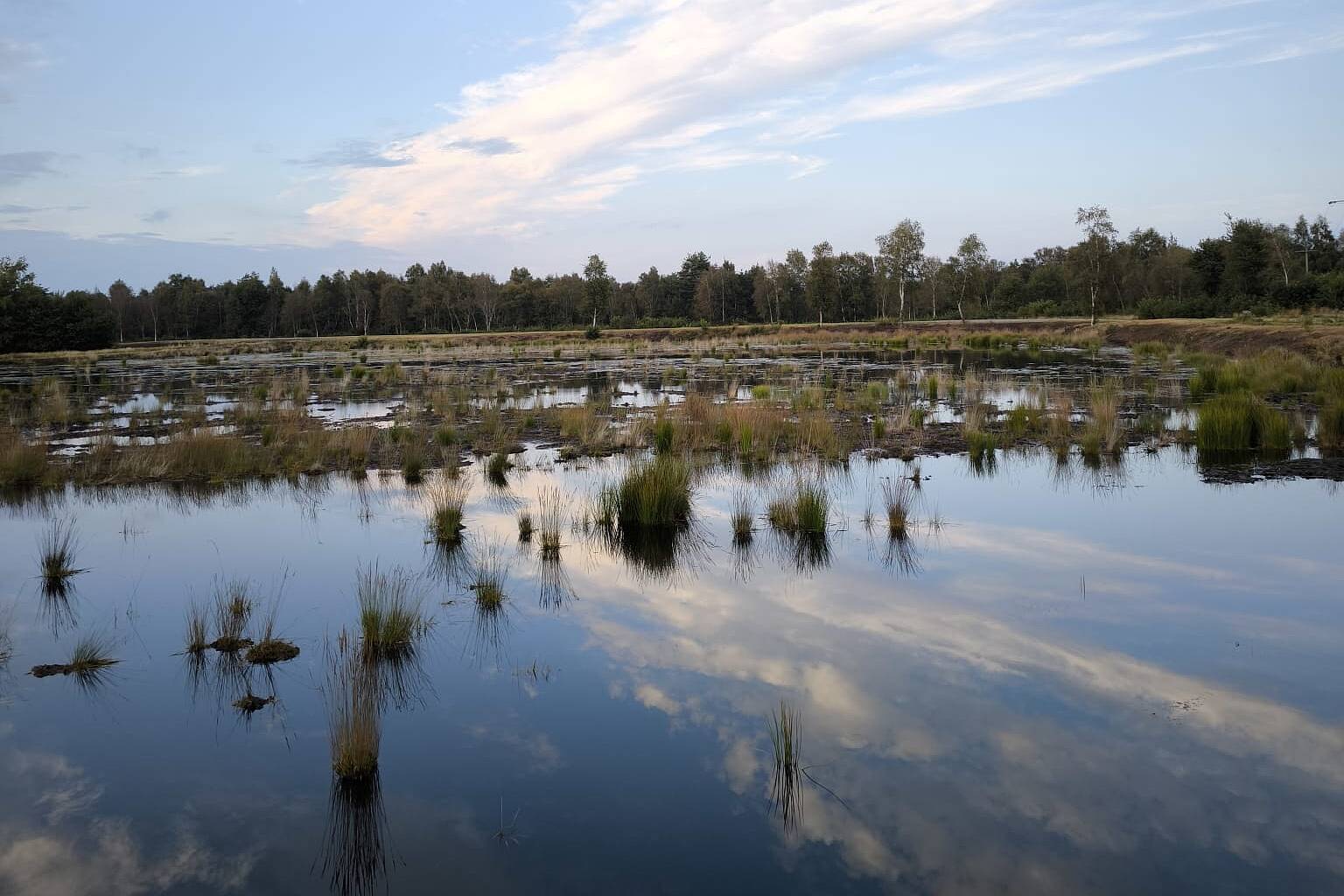 Öffnet die Seite 'Naturerlebnis, künstlerische Workshops und Mehr: Das „Good Mood Event 3.0 – das Moor durch Linse, Pinsel und Feder erleben“ der VHS Meppen lädt zum Emsländischen Moormuseum nach Geeste ein' Foto 4: Emsland Moormuseum
Bildunterschrift: Das dritte „Good Mood Event“ der VHS findet dieses Mal in der Umgebung des Emsland Moormuseums statt.